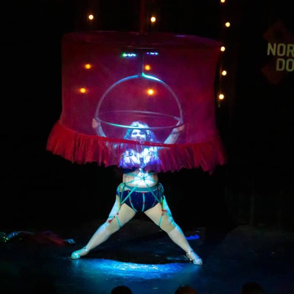 Meet your Posher, Ginger